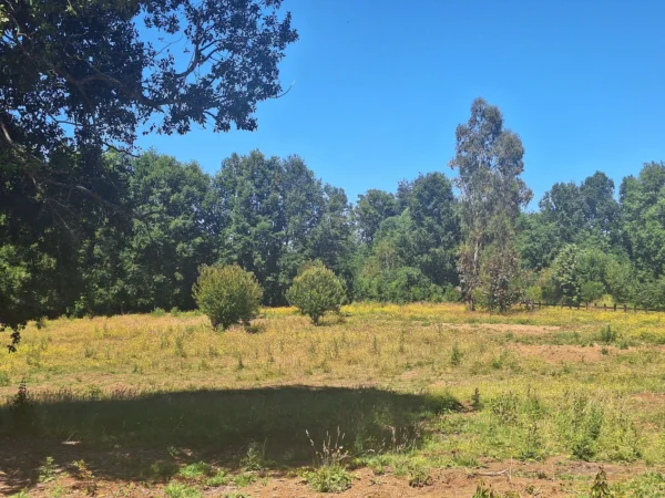 a solo 15 min de villarrica $38.000.000 crédito directo