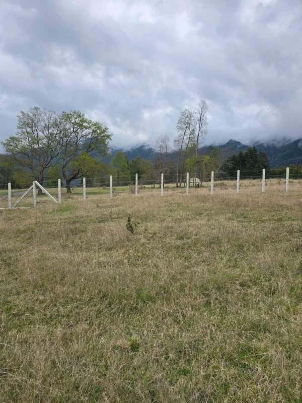 parcelas ruta cunco melipeuco