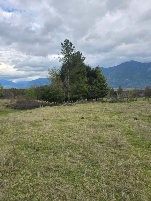 parcelas ruta cunco melipeuco