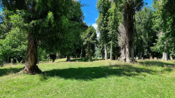 lomas las cascadas, ensenada región de los lagos