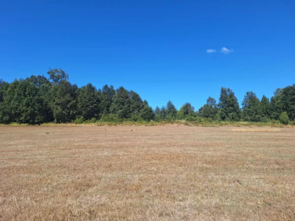 séptima faja hermosas parcelas a 20 min de villarrica desde $28.000.000