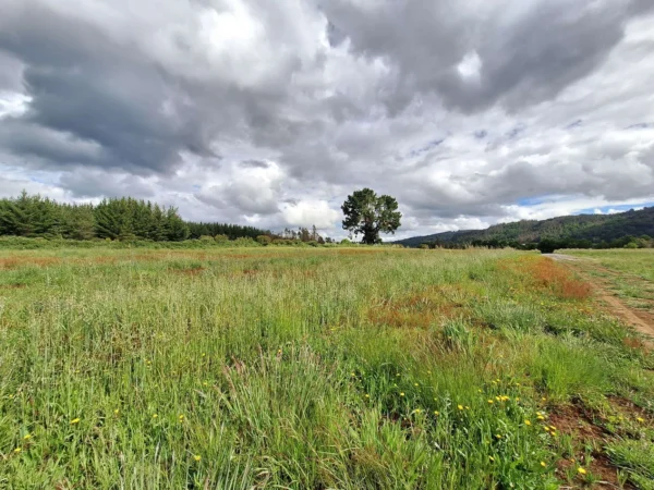 refugio huellanto sexta faja desde $19.990.000