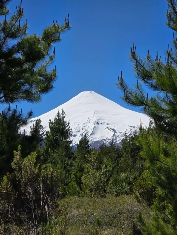 parcelas a minutos del lago calafquén $30.000.000
