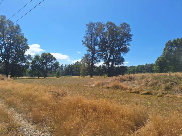 parque nativo sector huaqui $30.000.000 opción de crédito directo