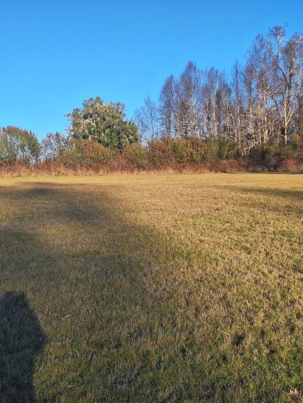 séptima faja hermosas parcelas a 20 min de villarrica desde $28.000.000