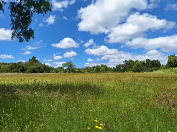 fundo santa clara $24.990.000 Últimas parcelas