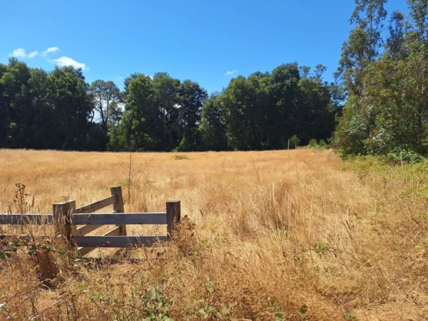 parque nativo sector huaqui $30.000.000 opción de crédito directo