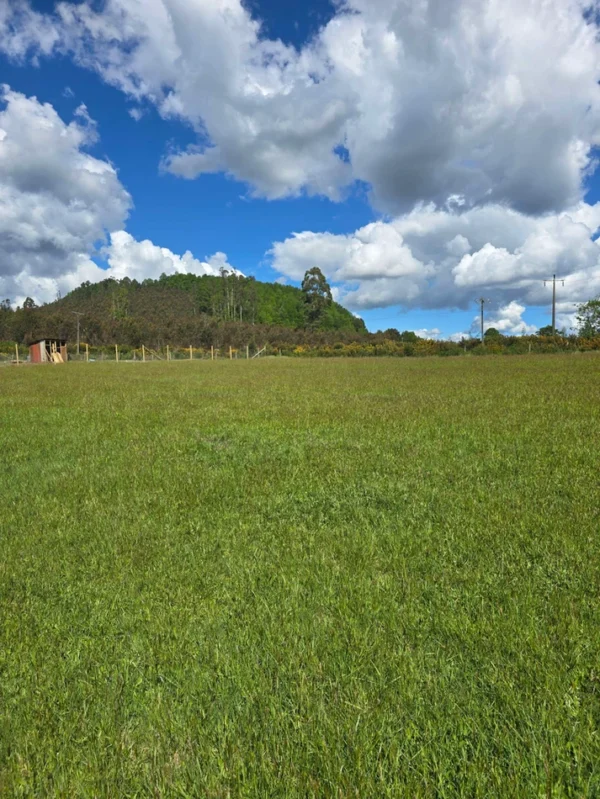 campo san nicolás Últimas parcelas disponibles