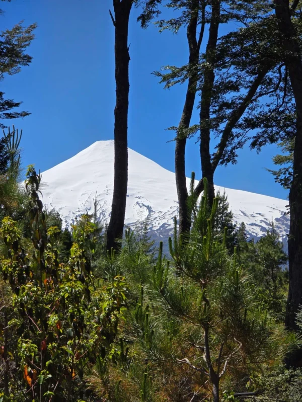 parcelas a minutos del lago calafquén $30.000.000