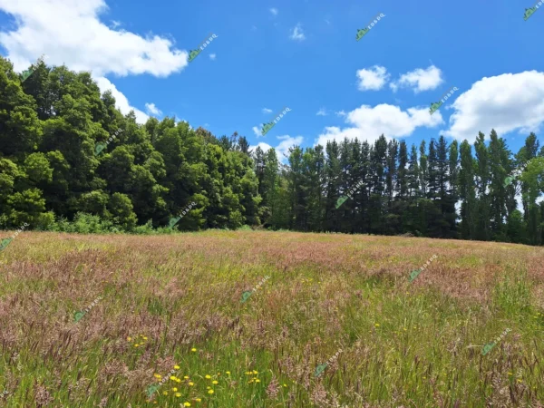 fundo santa clara $24.990.000 Últimas parcelas