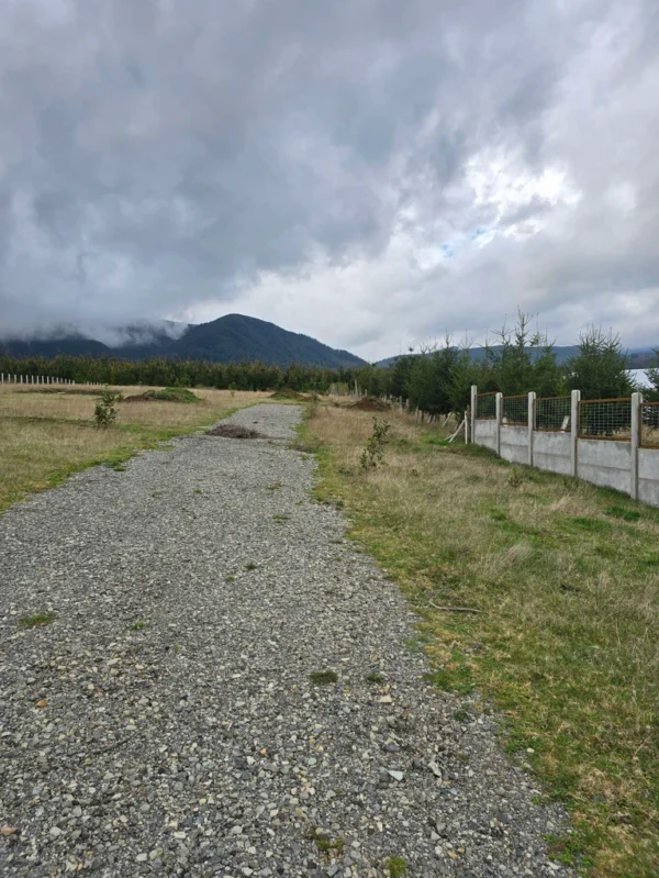 parcelas ruta cunco melipeuco