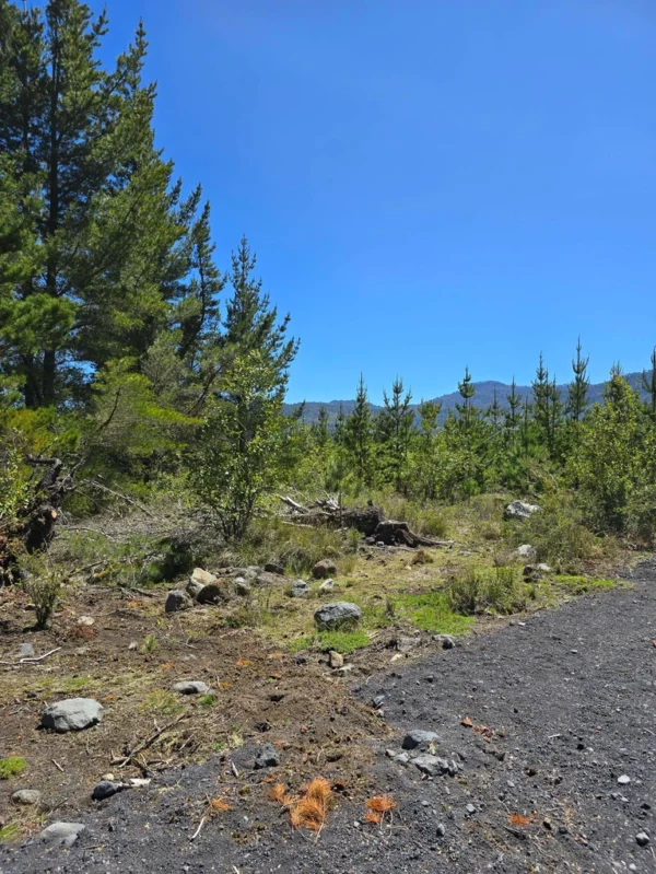 parcelas a minutos del lago calafquén $30.000.000