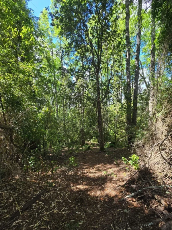 campo san nicolás Últimas parcelas disponibles