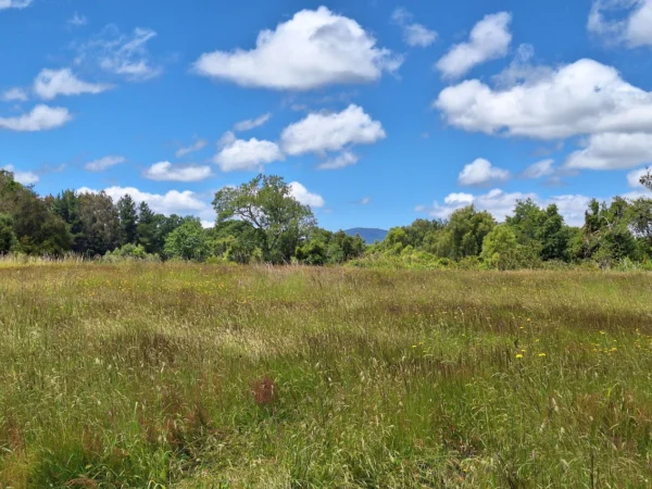 fundo santa clara $24.990.000 Últimas parcelas