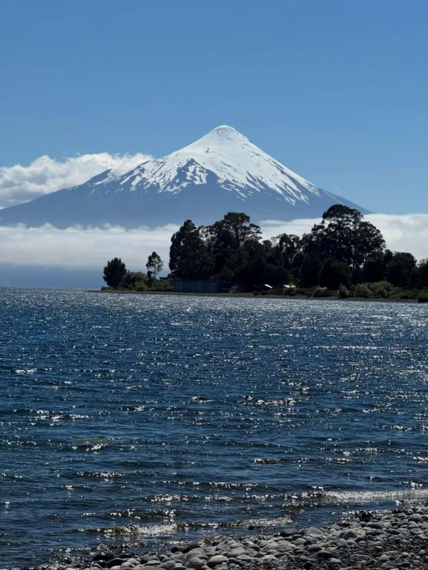 vive puerto varas