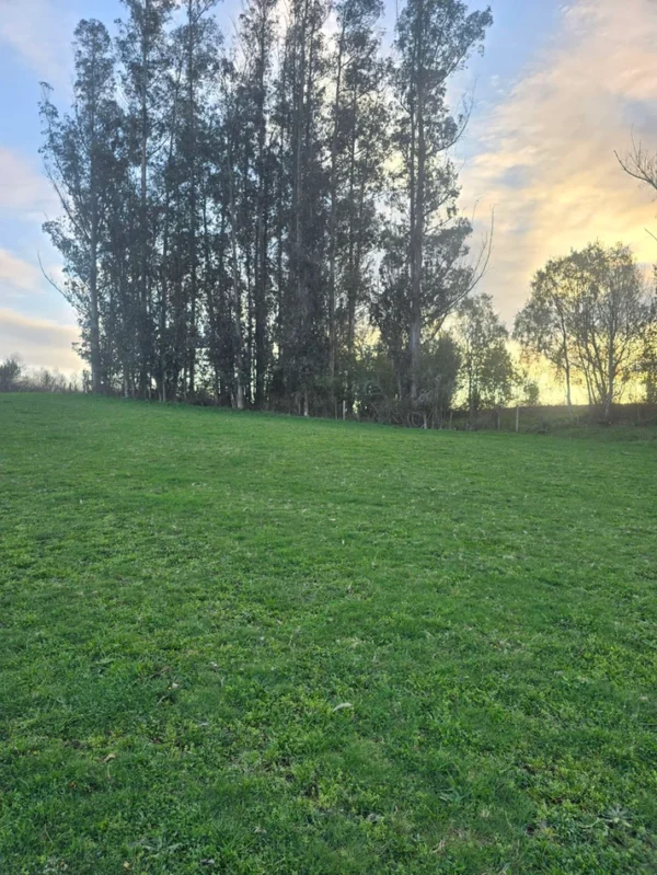 rinconada a solo 15 min de villarrica