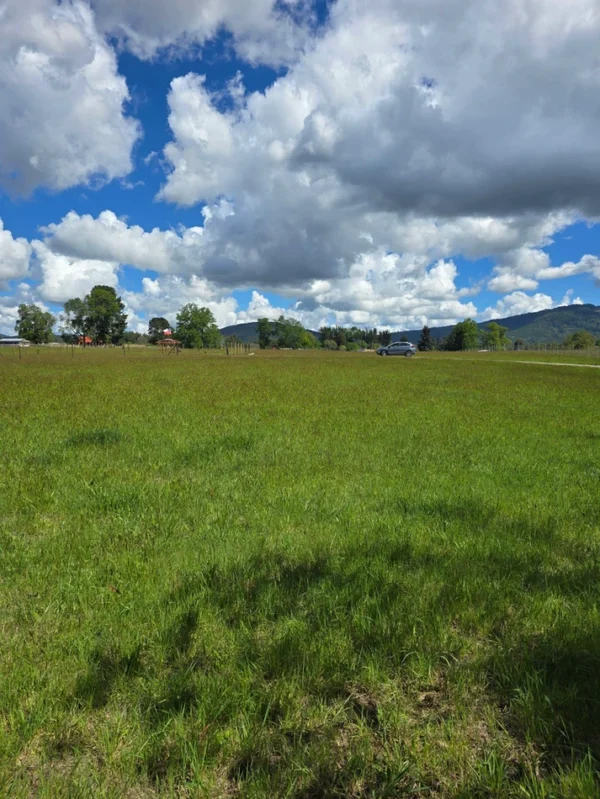 campo san nicolás Últimas parcelas disponibles