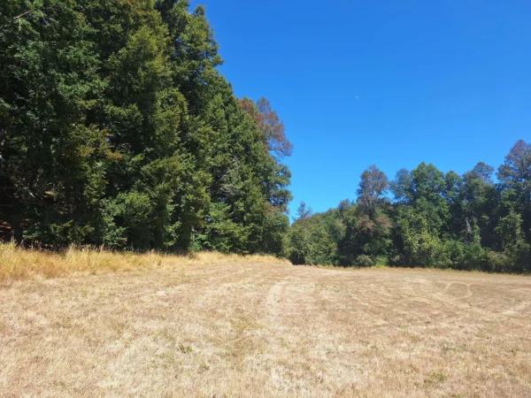 parque nativo sector huaqui $30.000.000 opción de crédito directo