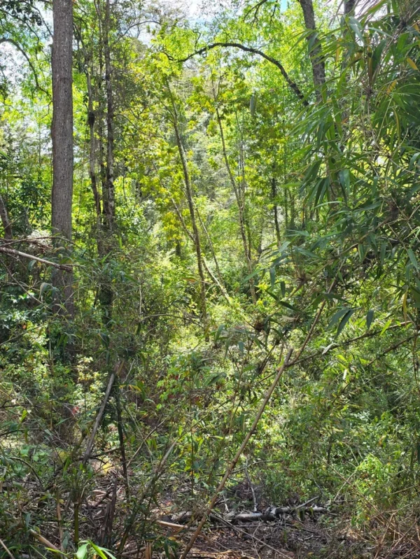 campo san nicolás Últimas parcelas disponibles