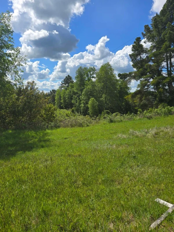 campo san nicolás Últimas parcelas disponibles