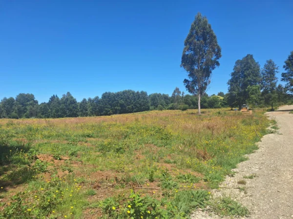 a solo 15 min de villarrica $38.000.000 crédito directo