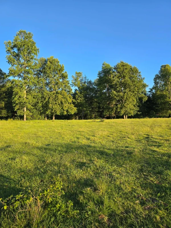 la comarca a solo 10 km de villarrica desde $39.990.000