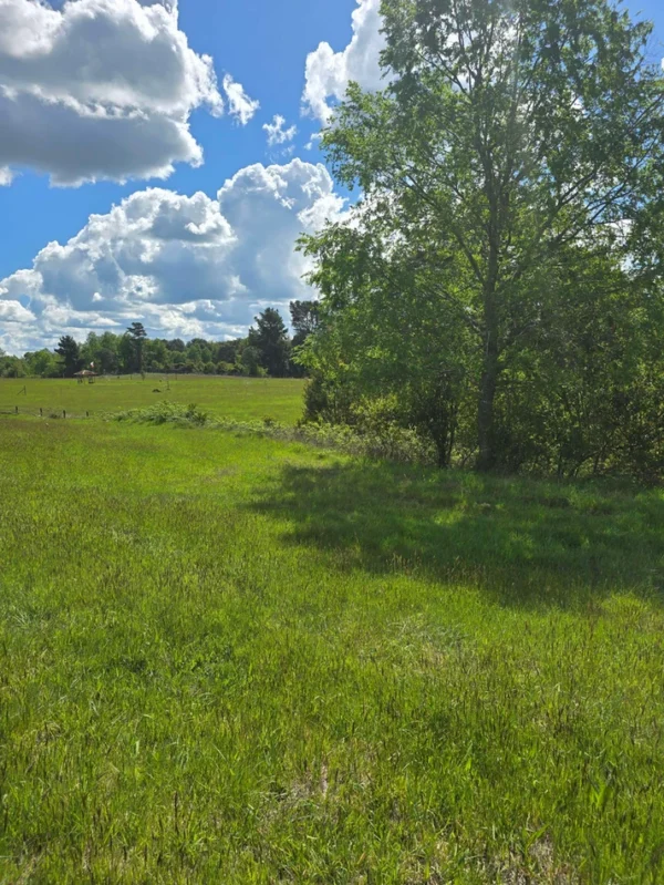campo san nicolás Últimas parcelas disponibles