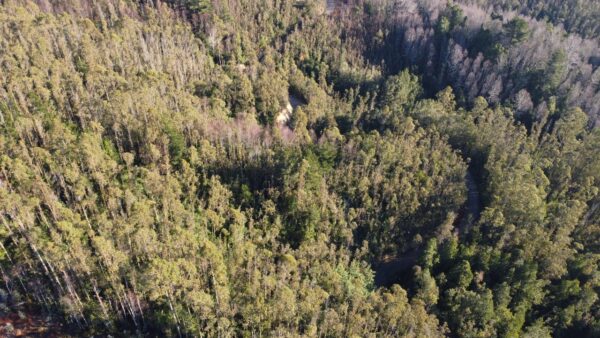 parcela de 1,9 hectáreas loncoche $39.990.000