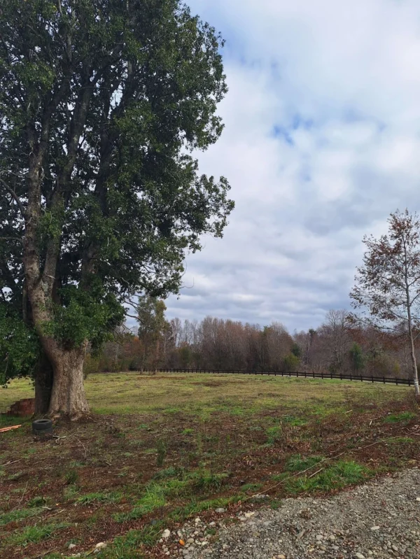 a solo 15 min de villarrica $38.000.000 crédito directo