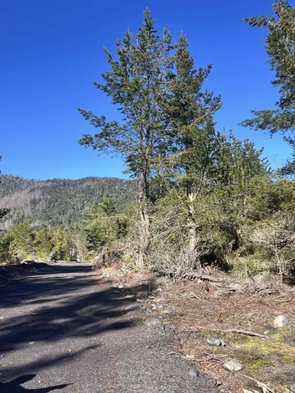 parcelas a minutos del lago calafquén $30.000.000