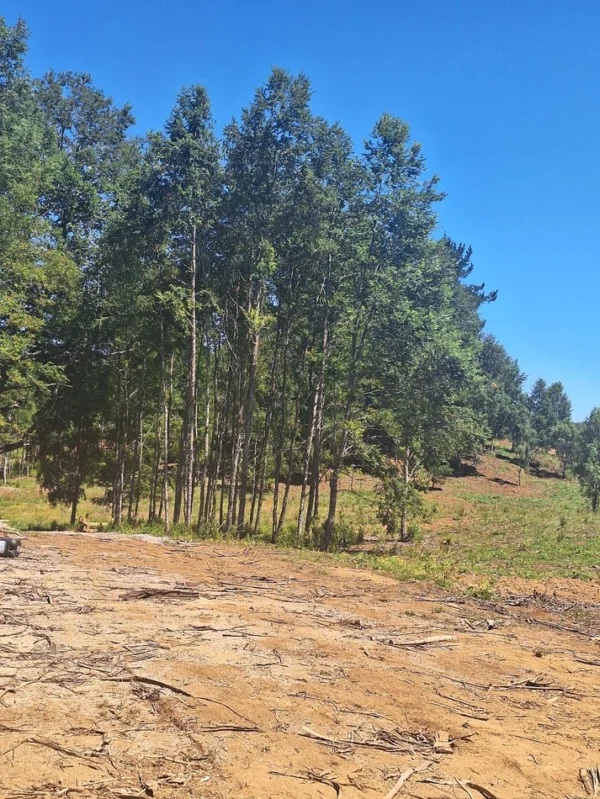 a solo 15 min de villarrica $38.000.000 crédito directo