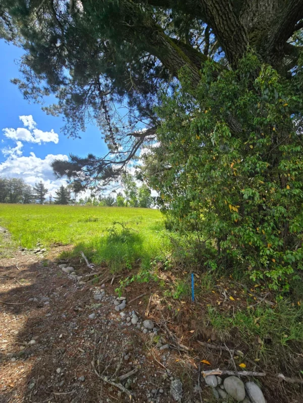 campo san nicolás Últimas parcelas disponibles