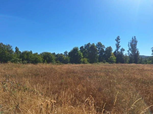 séptima faja hermosas parcelas a 20 min de villarrica desde $28.000.000