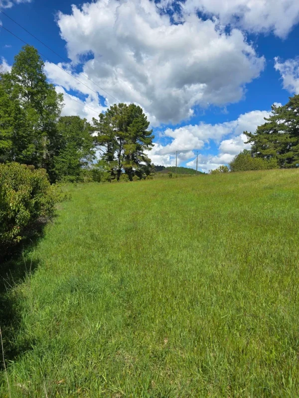 campo san nicolás Últimas parcelas disponibles