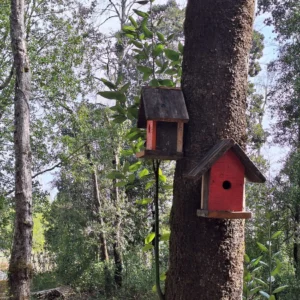 a 20 min de villarrica parcelas con luz, agua y cercadas