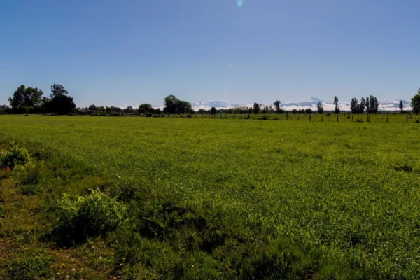 verde pradera 1 y 2 desde $15.990.000 crédito directo