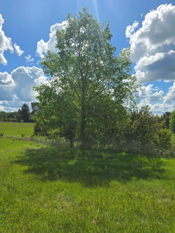 campo san nicolás Últimas parcelas disponibles