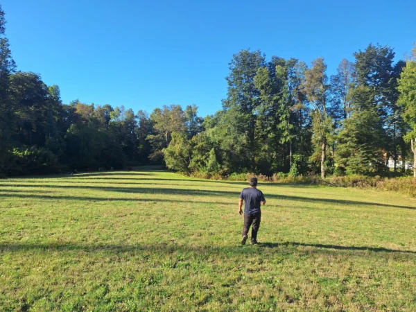 rinconada a solo 15 min de villarrica