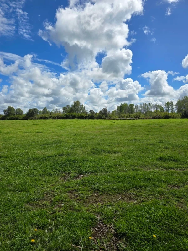 rinconada a solo 15 min de villarrica