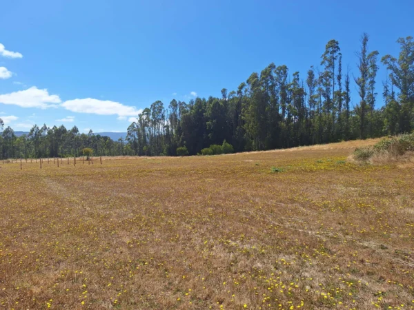 parque nativo sector huaqui $30.000.000 opción de crédito directo