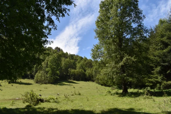 la comarca a solo 10 km de villarrica desde $39.990.000