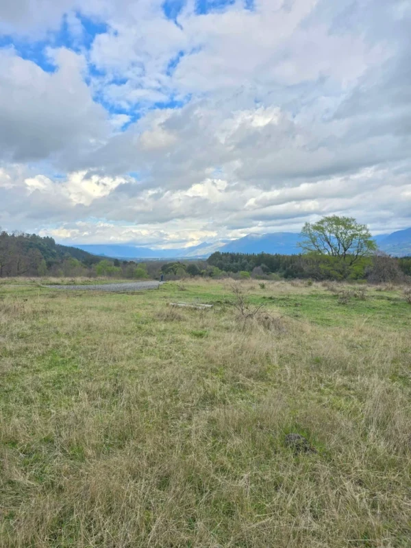 parcelas ruta cunco melipeuco