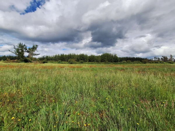 refugio huellanto sexta faja desde $19.990.000