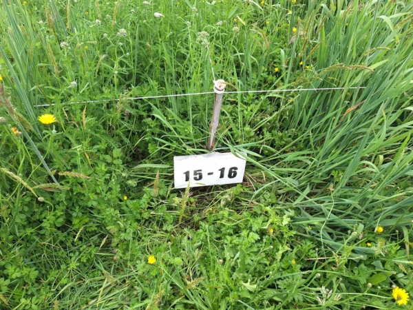 aires de paillaco $23.990.000