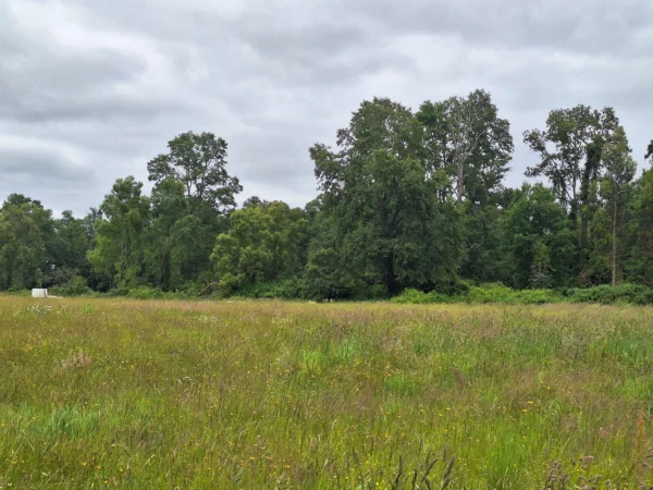 aires de paillaco $23.990.000