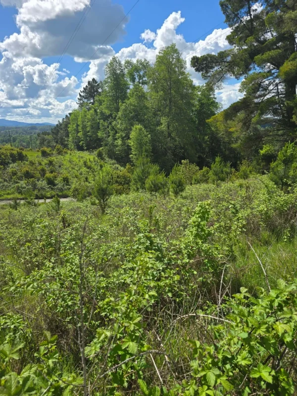 campo san nicolás Últimas parcelas disponibles