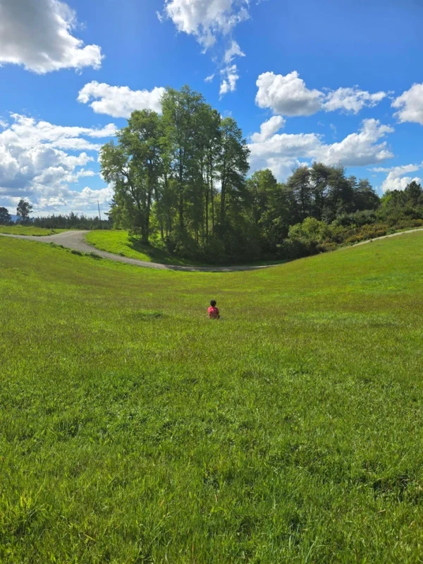 campo san nicolás Últimas parcelas disponibles