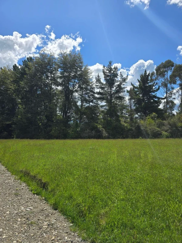 campo san nicolás Últimas parcelas disponibles
