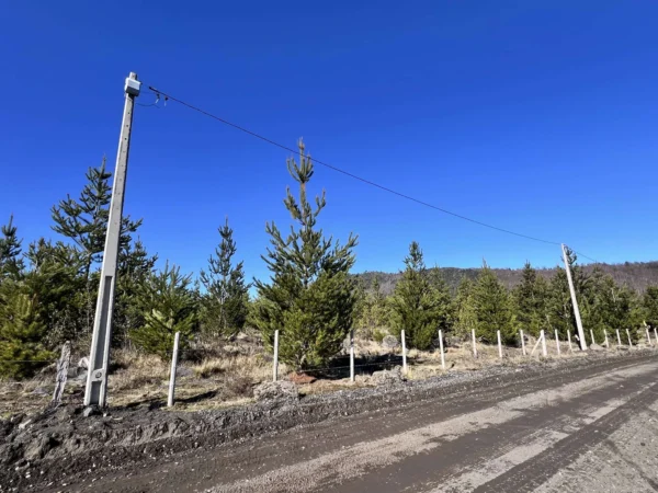 parcelas a minutos del lago calafquén $30.000.000