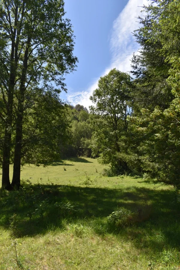 La Comarca a solo 10 km de Villarrica Desde $39.990.000 la comarca a solo 10 km de villarrica desde $39.990.000